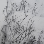Plants: image 7 0f 20 thumb
