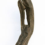 Plants: image 1 0f 4 thumb