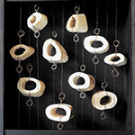 Plants: image 1 0f 4 thumb