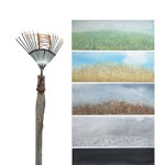 Plants: image 1 0f 4 thumb